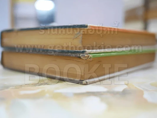 แม่ปลาหลด 2 เล่มจบ - รพีพร รูปที่ 4