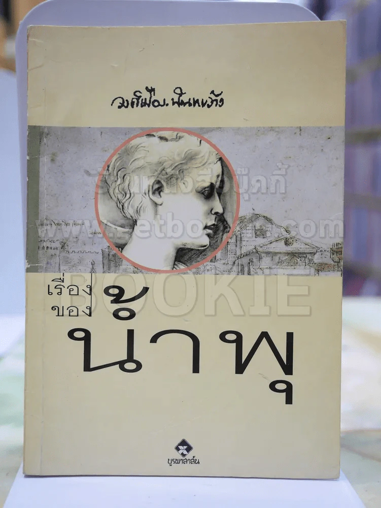 เรื่องของน้ำพุ รูปที่ 1