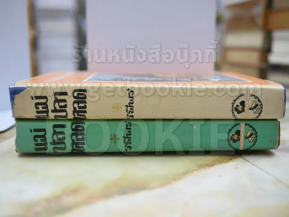 แม่ปลาหลด 2 เล่มจบ - รพีพร รูปที่ 2