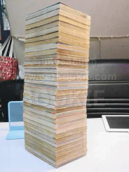 ล่าอสูรกาย 33 เล่มจบ + ภาคพิเศษ 1 เล่ม รูปที่ 3