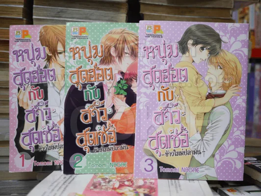 หนุ่มสุดฮอตกับสาวสุดเซ่อ -ข้าวใหม่ปลามัน- เล่ม 1-2-3 รูปที่ 1