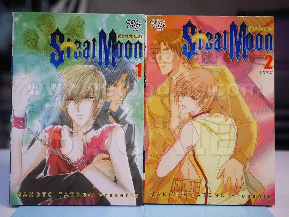 Steal Moon จันทร์ซ่อนเงา 2 เล่มจบ รูปที่ 1