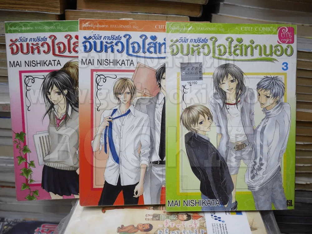 จับหัวใจใส่ทำนอง 5 เล่มจบ (ขาดเล่ม 4,5) รูปที่ 1