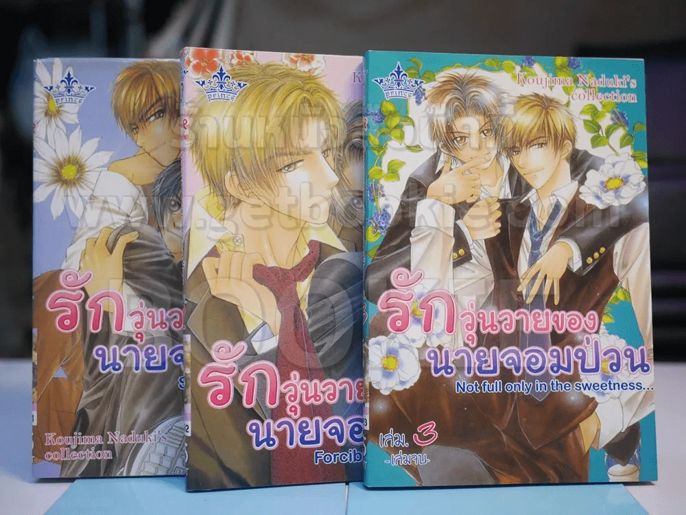 รักวุ่นวายของนายจอมป่วน (3 เล่มจบ) รูปที่ 1