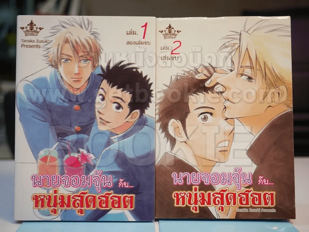 นายจอมจุ้นกับหนุ่มสุดฮอต 2 เล่มจบ รูปที่ 1