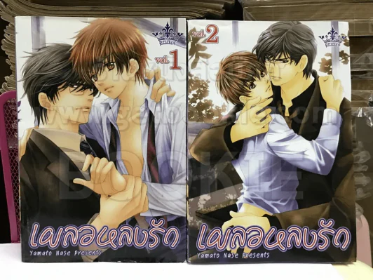 เผลอหลงรัก เล่ม 1-2 รูปที่ 1