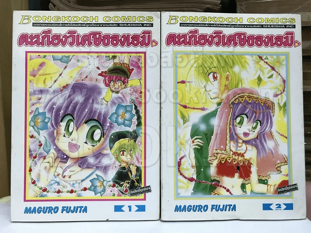 ตะเกียงวิเศษของเอมิ 2 เล่มจบ รูปที่ 1