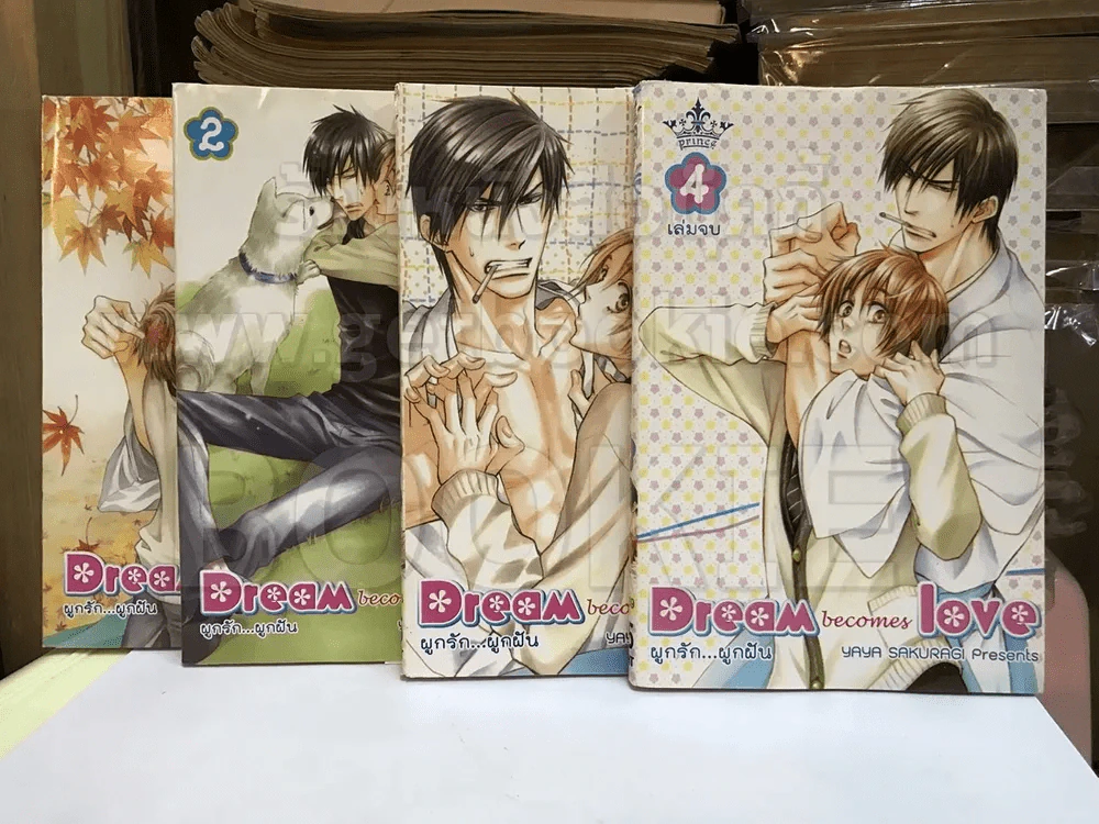 Dream becomes love ผูกรัก...ผูกฝัน 4 เล่มจบ รูปที่ 1