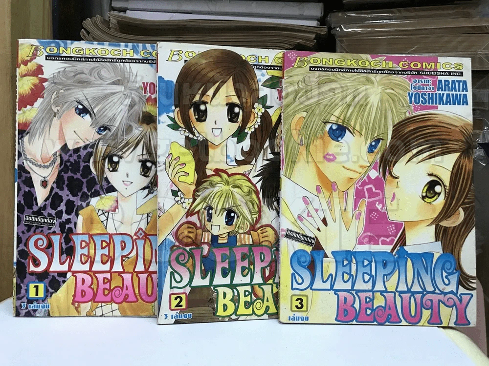 Sleeping Beauty 3 เล่มจบ รูปที่ 1