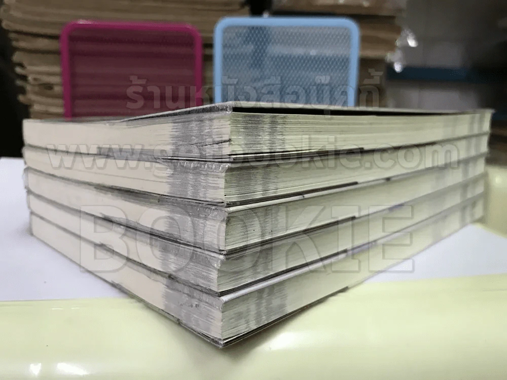 นักล่าแห่งรัตติกาล อีกฟากฝั่งของโชคชะตา 8 เล่มจบ (ขาดเล่ม 4,7,8) รูปที่ 4
