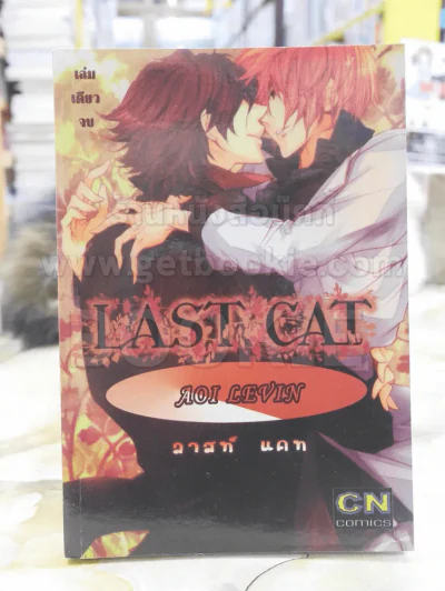 LAST CAT รูปที่ 1