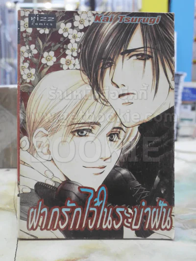 ฝากรักไว้ในระบำฝัน รูปที่ 1