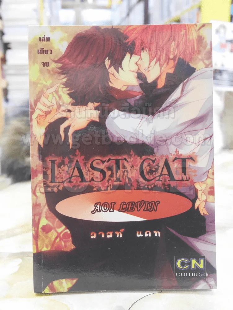 LAST CAT รูปที่ 1