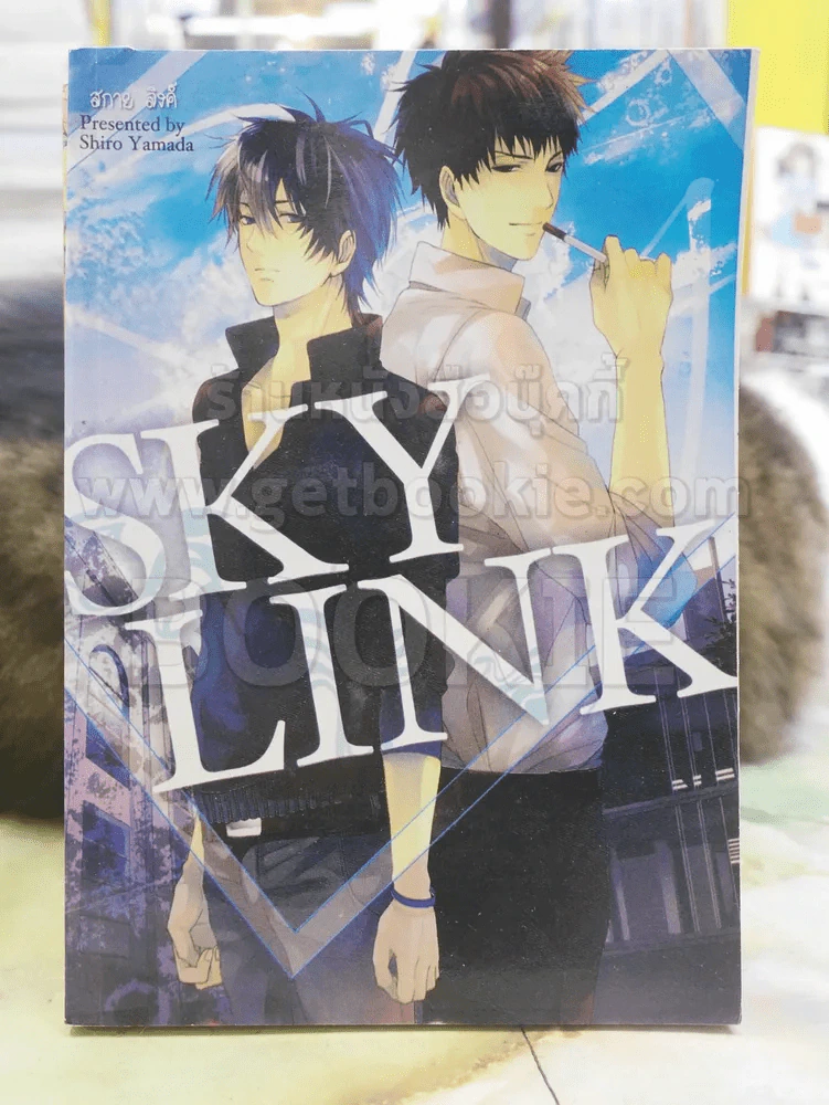 SKY LINK รูปที่ 1