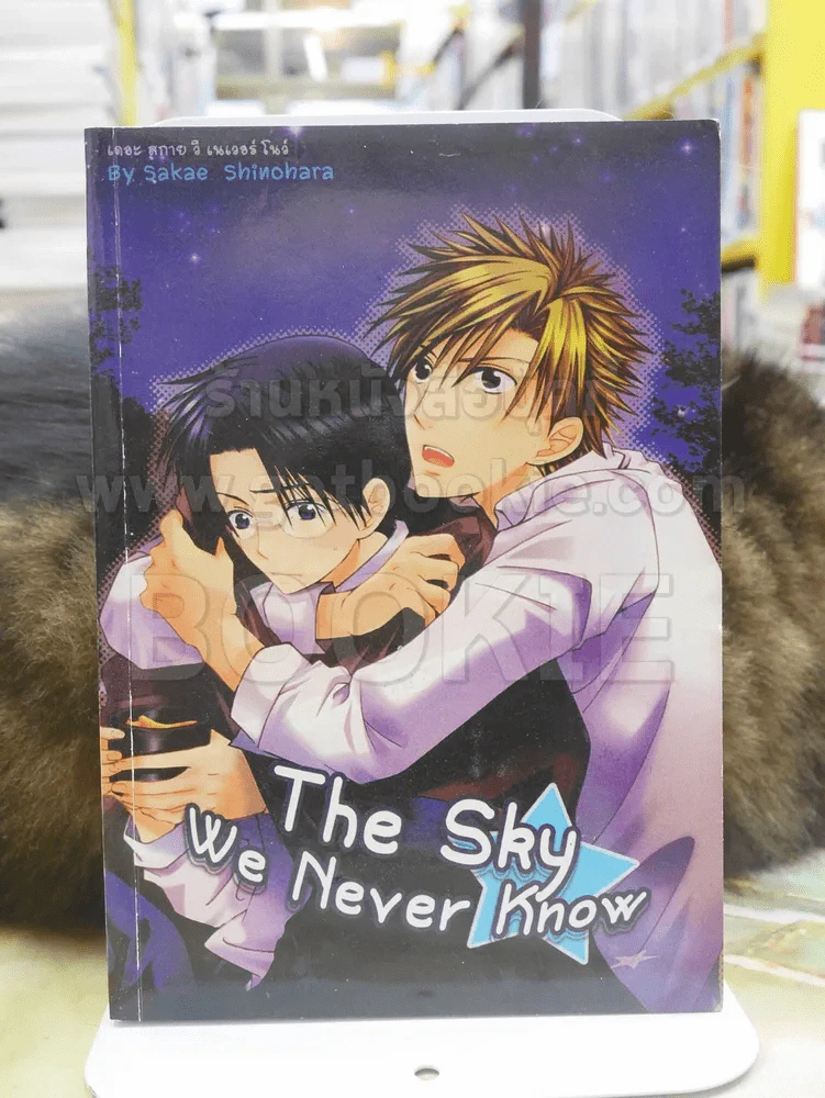 The Sky We Never Know รูปที่ 1