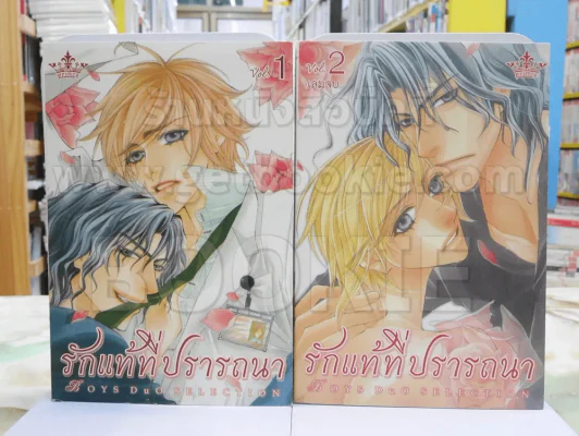 รักแท้ที่ปรารถนา เล่ม 1-2 รูปที่ 1