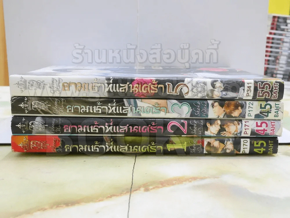 ยามเช้าที่แสนเศร้า เล่ม 1-5 (ขาดเล่ม 4) รูปที่ 2