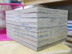 ZEROIN ตำรวจสาว ดีเดือด 12 เล่มจบ (ขาดเล่ม 10/11/12) รูปที่ 3