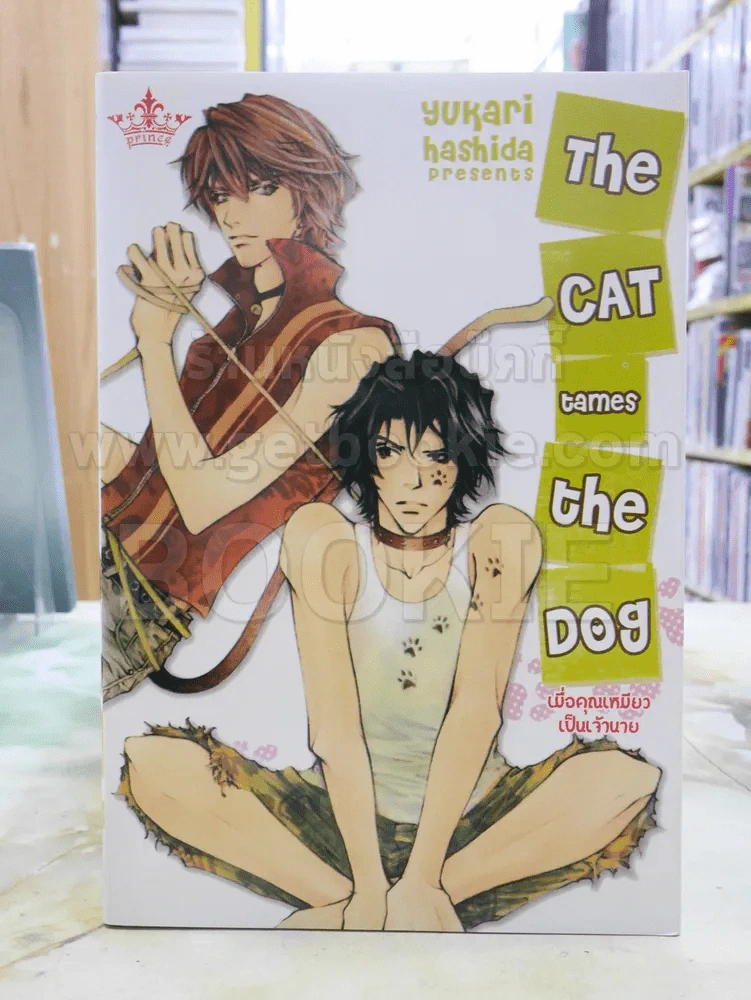 เมื่อคุณเหมียวเป็นเจ้านาย The Cat Tames The Dog รูปที่ 1
