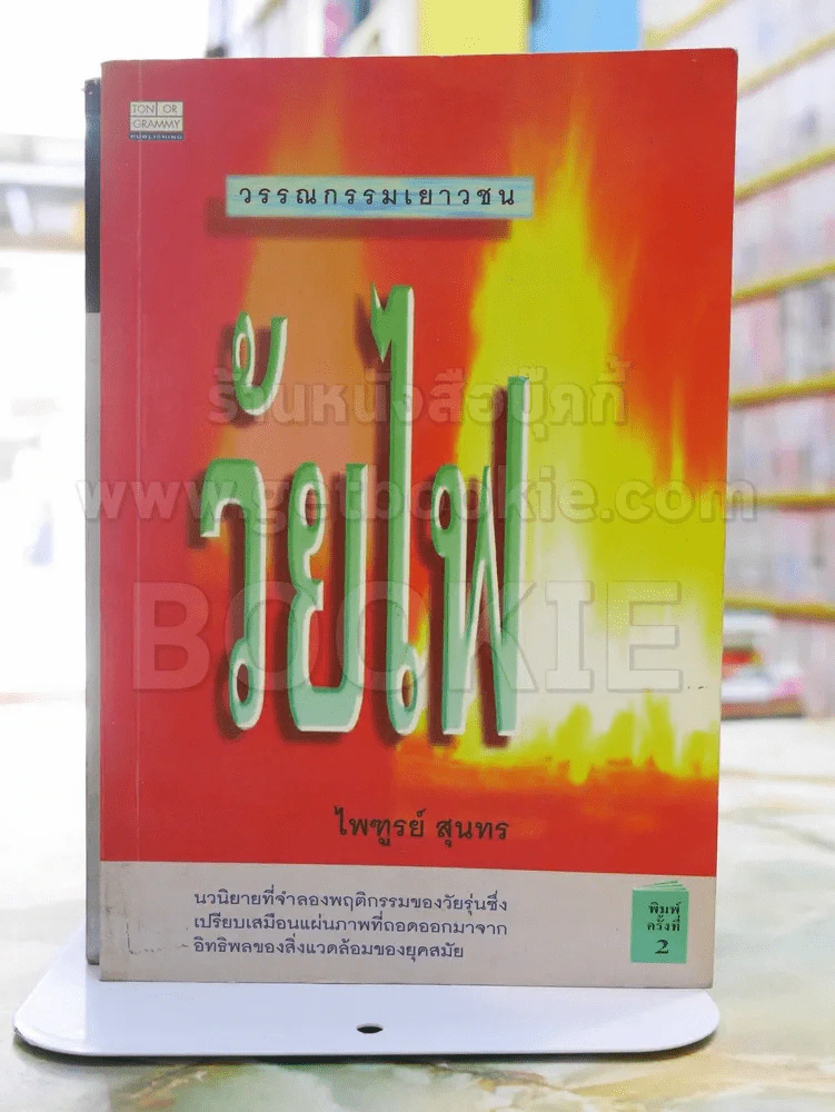 วัยไฟ -ไพฑูรย์ สุนทร รูปที่ 1
