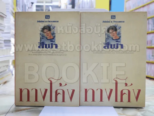 ทางโค้ง -สีฟ้า 2 เล่มจบ รูปที่ 1