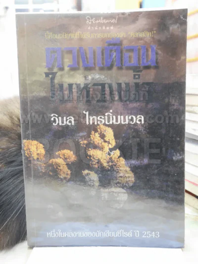 ดวงเดือนในห้วงน้ำ - วิมล ไทรนิ่มนวล รูปที่ 1