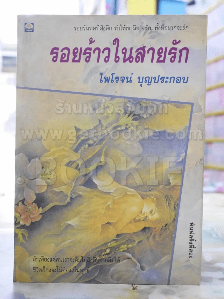 รอยร้าวในสายรัก -ไพโรจน์ บุญประกอบ รูปที่ 1