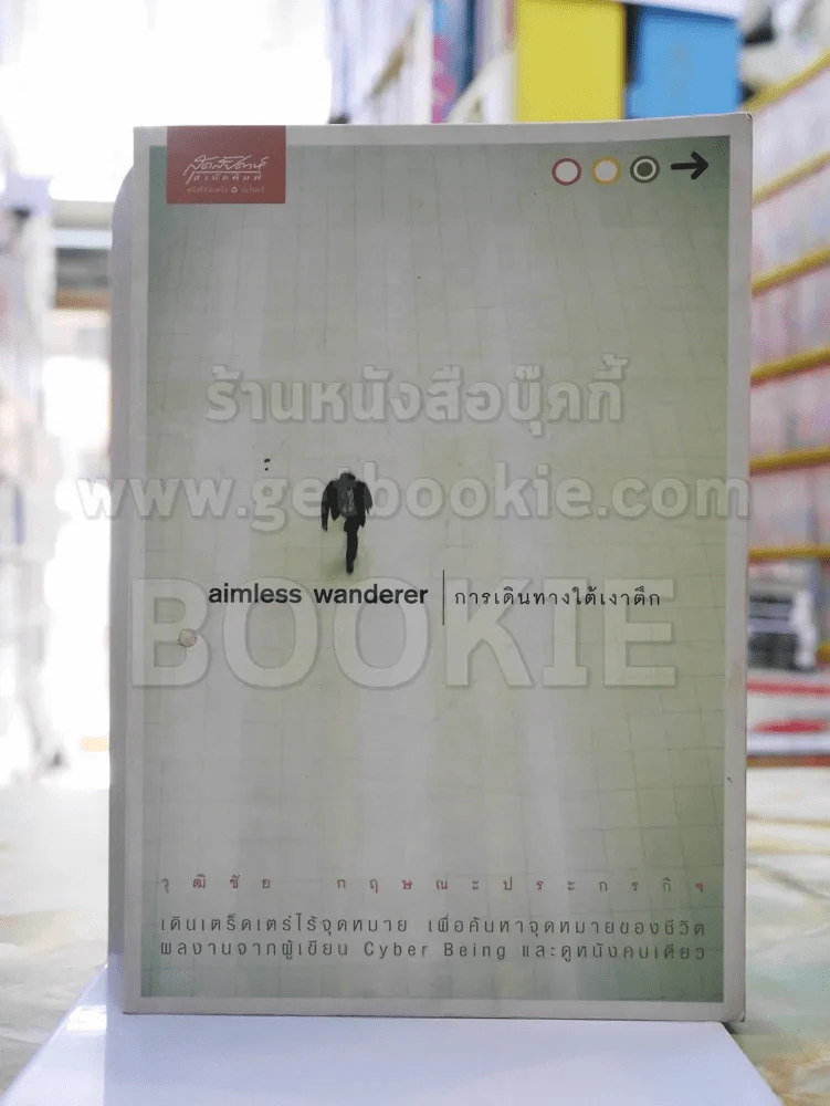 aimless wanderer การเดินทางใต้เงาตึก -วุฒิชัย กฤษณะประกรกิจ รูปที่ 1