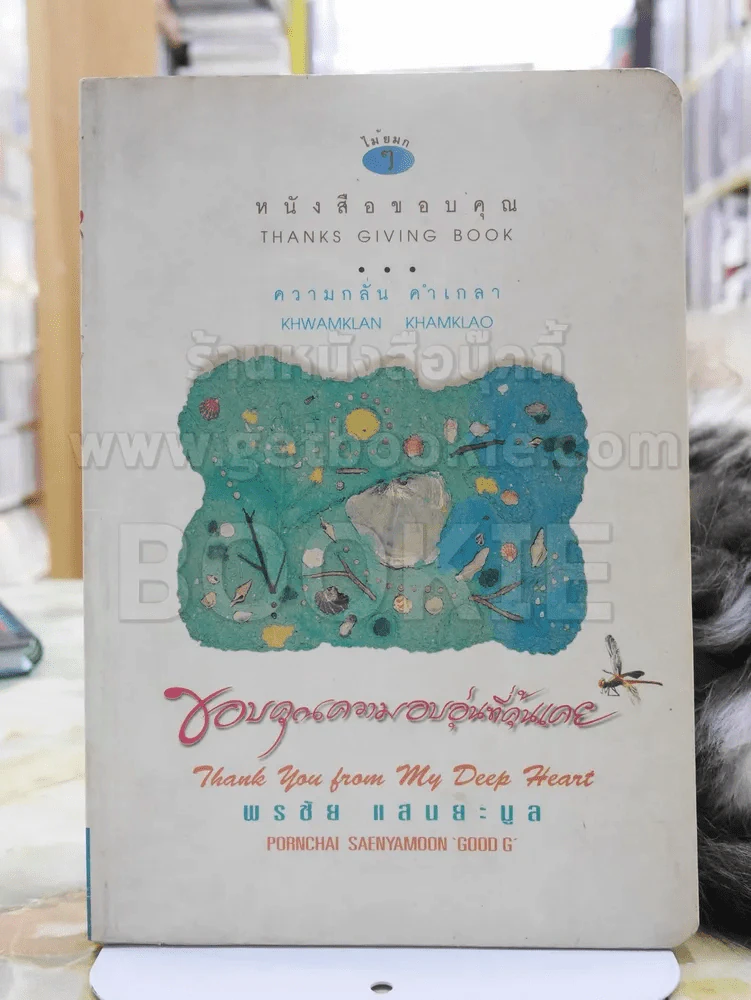 ขอบคุณความอบอุ่นที่คุ้นเคย - พรชัย แสนยะมูล รูปที่ 1