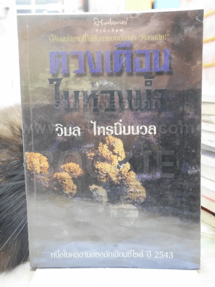 ดวงเดือนในห้วงน้ำ - วิมล ไทรนิ่มนวล รูปที่ 1