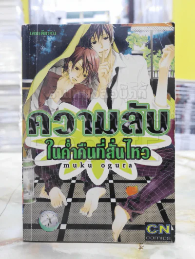 ความลับในค่ำคืนที่สั่นไหว รูปที่ 1