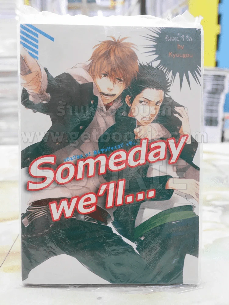 Someday we'll... รูปที่ 1
