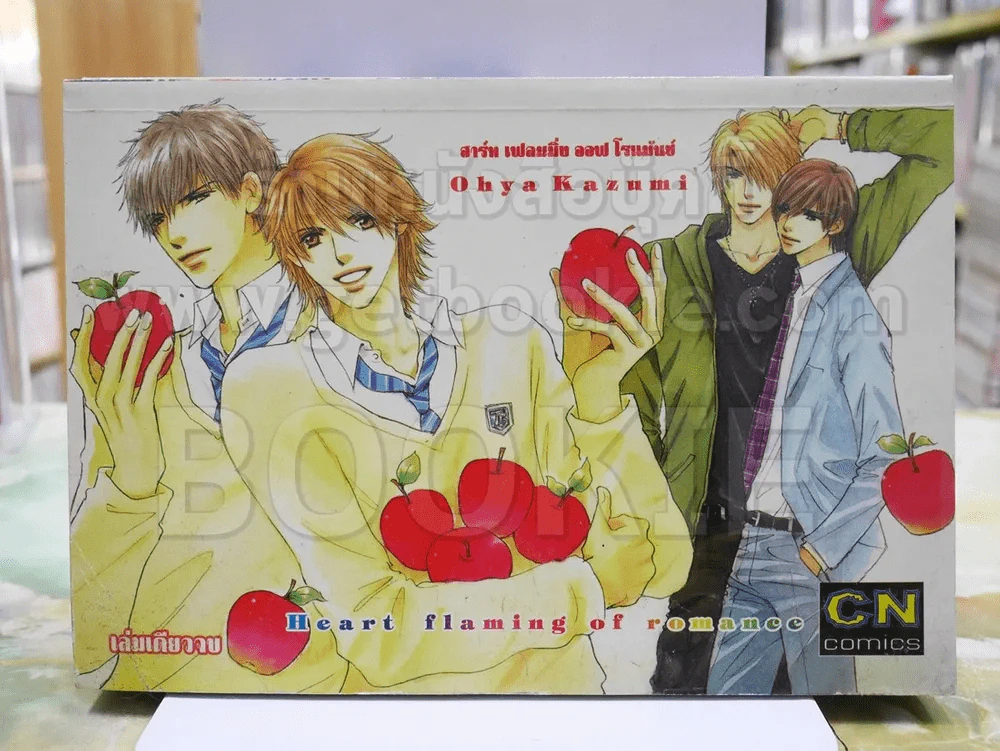 ฮาร์ท เฟลมมิ่ง ออฟ โรแม้นซ์ Heart flaming of romance รูปที่ 1