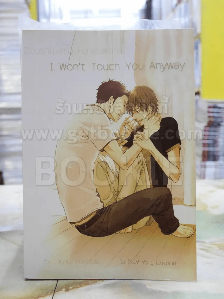 I Won't Touch You Anyway รูปที่ 1