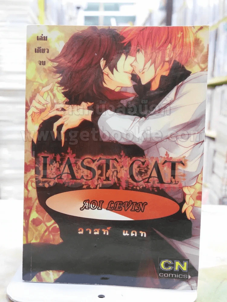 LAST CAT รูปที่ 1