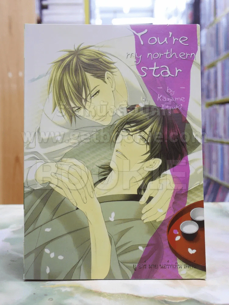 You're my northern star รูปที่ 1