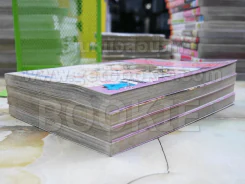 เจ้าชายน้อยต่างภพ 4 เล่มจบ รูปที่ 4