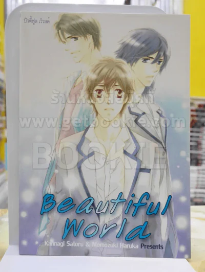 Beautiful world รูปที่ 1