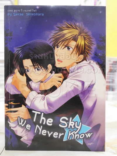 The Sky We Never Know รูปที่ 1