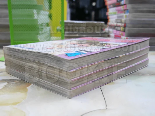 เจ้าชายน้อยต่างภพ 4 เล่มจบ รูปที่ 4