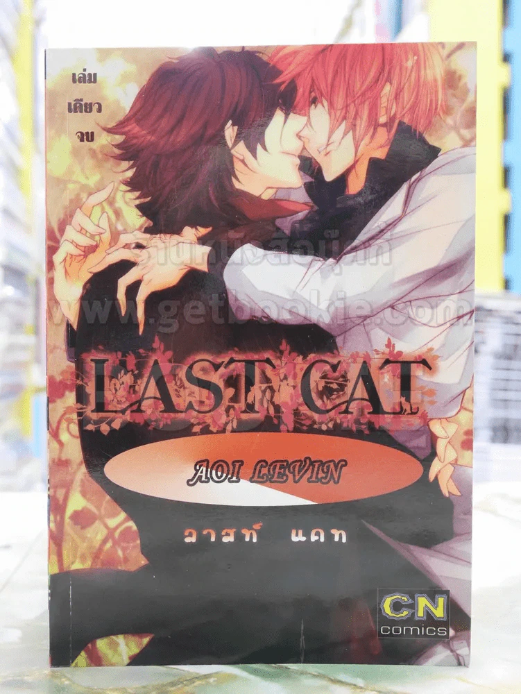 LAST CAT รูปที่ 1