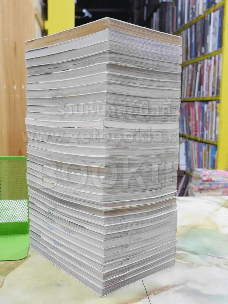 หนุ่มหล่อเฟี้ยวแปลงโฉมสาว 36 เล่มจบ (ขาดเล่ม 18,33-36) รูปที่ 3