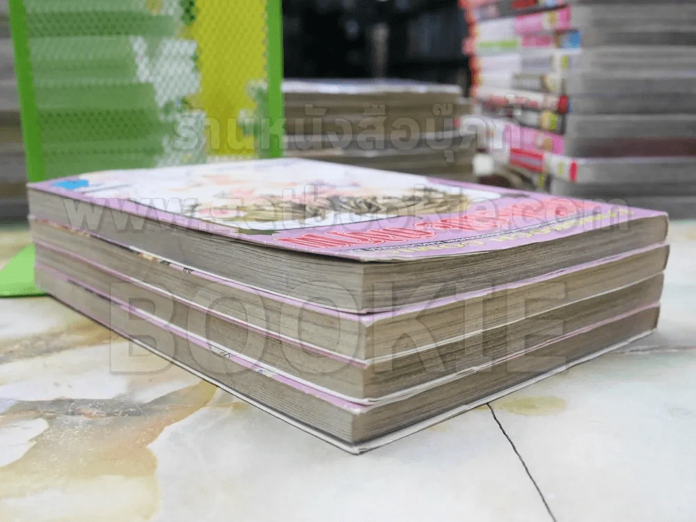 เจ้าชายน้อยต่างภพ 4 เล่มจบ รูปที่ 3
