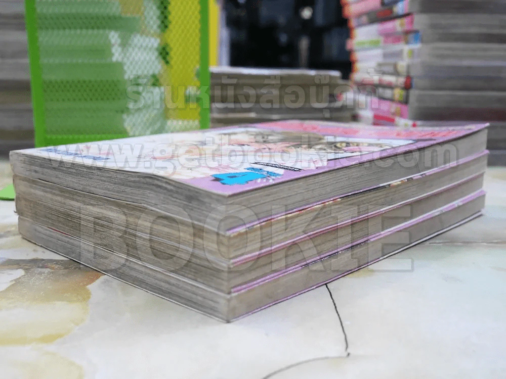 เจ้าชายน้อยต่างภพ 4 เล่มจบ รูปที่ 4
