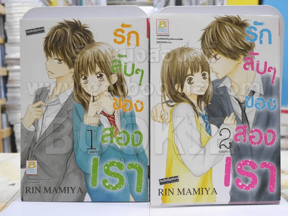 รักลับๆของสองเรา 2 เล่มจบ รูปที่ 1