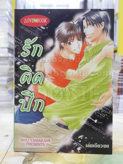 รักติดปีก รูปที่ 1
