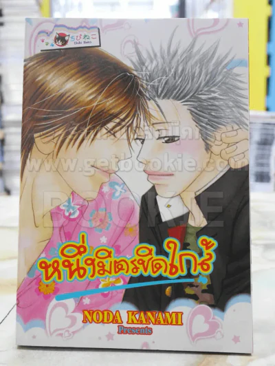 หนึ่งมิตรชิดใกล้ รูปที่ 1