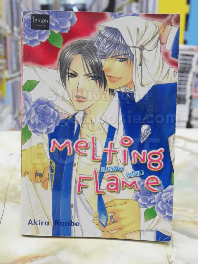 MELTING FLAME รูปที่ 1
