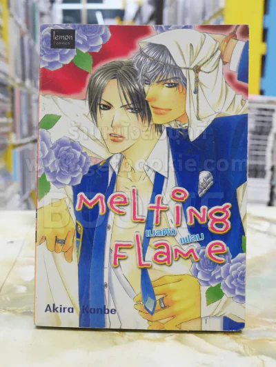MELTING FLAME รูปที่ 1