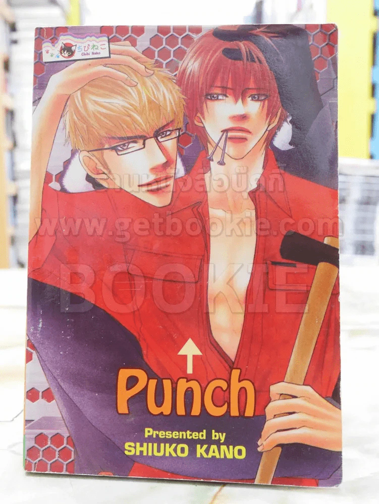 punch รูปที่ 1